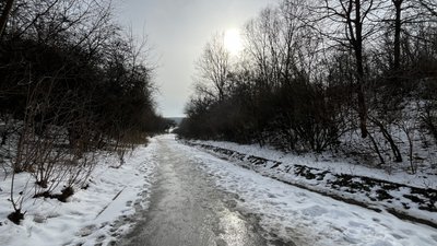Чи планують благоустрій дендропарку у Полтаві