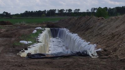 600 тисяч загиблих курей із «Кременчуцької птахофабрики» утилізуватимуть упродовж двох місяців