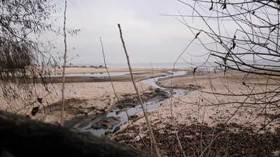 У Дніпро біля Черкас злили невідому речовину: є результати досліджень води