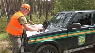 Буревій в лісі Рівне