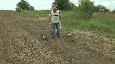 "Землю мою залили хімією". На Франківщині пенсіонер звинувачує агрокомпанію у захопленні його землі "Землю мою залили хімією". На Франківщині пенсіонер звинувачує агрокомпанію у захопленні його землі