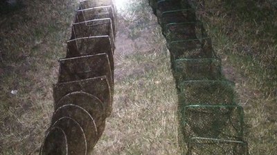 10 тисяч гривень - сума збитків, нанесених браконьєрами у заповіднику на Херсонщині 10 тисяч гривень - сума збитків, нанесених браконьєрами у заповіднику на Херсонщині