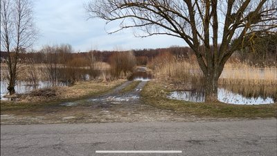 У селі Зінці ставки підтоплюють приватні будинки та городи У селі Зінці ставки підтоплюють приватні будинки та городи