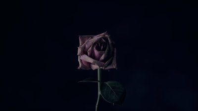 Всесвітній день запобігання самогубствам. Розвінчуємо найпопулярніші міфи про суїцид