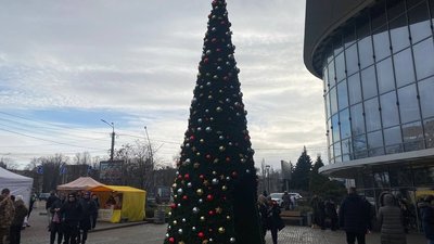Без головної ялинки. Як виглядають новорічні дерева у районах Дніпра та області Без головної ялинки. Як виглядають новорічні дерева у районах Дніпра та області
