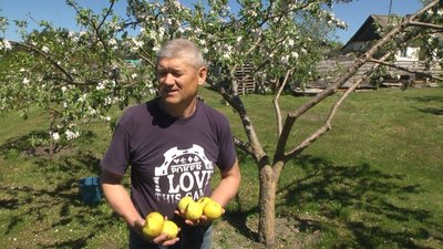 У селі на Хмельниччині люди живуть у дерев’яних будинках та без мобільного зв'язку У селі на Хмельниччині люди живуть у дерев’яних будинках та без мобільного зв'язку