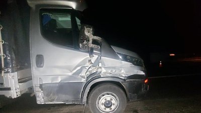 На Житомирщині у ДТП загинув водій гужової повозки