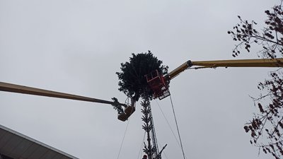 У центрі Дніпра встановлюють 20-метрову ялинку за 7,5 млн гривень