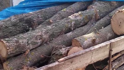 На Херсонщині поліцейські зупинили автомобіль з повним причепом браконьєрських дров