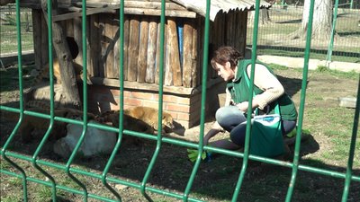До 8 березня в одеському зоопарку влаштували свято для дітей До 8 березня в одеському зоопарку влаштували свято для дітей