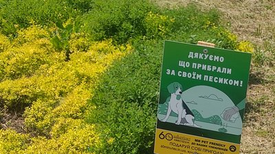 Екзотичні дерева, розваги та прочесані газони — що варто знати житомирянам перед прогулянкою у міських парках Екзотичні дерева, розваги та прочесані газони — що варто знати житомирянам перед прогулянкою у міських парках