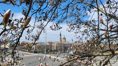 Свято-Благовіщенський кафедральний собор у Харкові