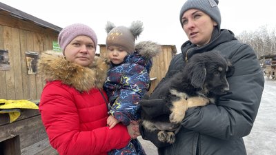 Знайомлять з життям притулку та розповідають історії підопічних: сумські волонтери шукають домівки собакам Знайомлять з життям притулку та розповідають історії підопічних: сумські волонтери шукають домівки собакам