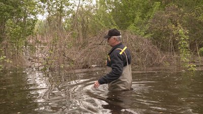 Підтоплення в селі Хрещатик, 25 квітня 2024 року