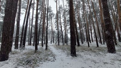 Черкаський синоптик розповів, коли чекати на потепління