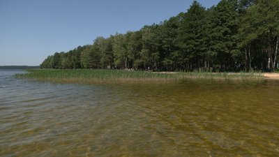 Безпечне купання на Рівненщині. Приклад Білого озера