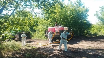 На Полтавщині ліквідували стихійний скотомогильник біля села Ступки