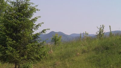 Туризм на Прикарпатті в умовах війни: як працюють готелі, хостели й сувенірні крамниці Туризм на Прикарпатті в умовах війни: як працюють готелі, хостели й сувенірні крамниці