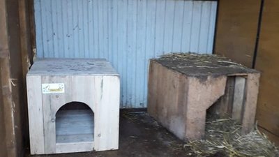 "Happy Paw" подарував "Дому Сірка" 14 будок "Happy Paw" подарував "Дому Сірка" 14 будок