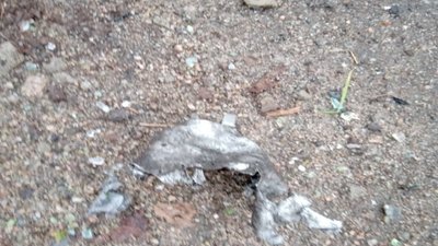 На Запорізькому напрямку прикордонники знищили шість російських БпЛА На Запорізькому напрямку прикордонники знищили шість російських БпЛА