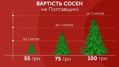 Вартість сосен на Полтавщині Вартість сосен на Полтавщині
