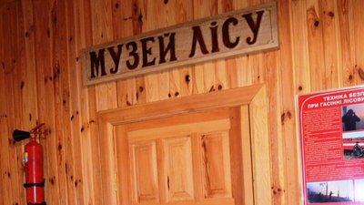 У Києві облаштують Музей лісу У Києві облаштують Музей лісу