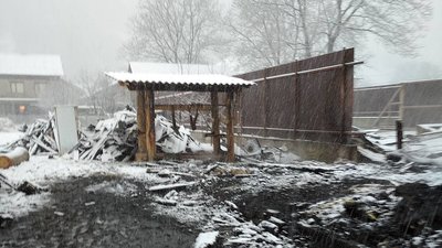 Дві будівля та худоба: на Закарпатті пожежа знищила частину господарства Дві будівля та худоба: на Закарпатті пожежа знищила частину господарства