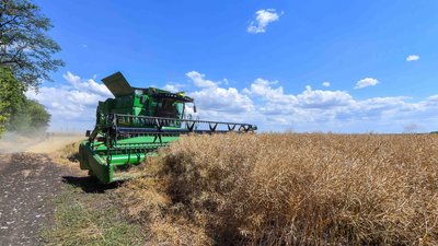 В Україні намолочено понад 78 млн тонн нового врожаю