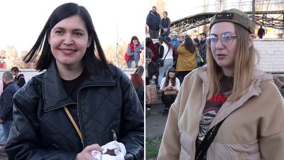 У Кропивницькому випустили в природу шість десятків врятованих взимку кажанів У Кропивницькому випустили в природу шість десятків врятованих взимку кажанів