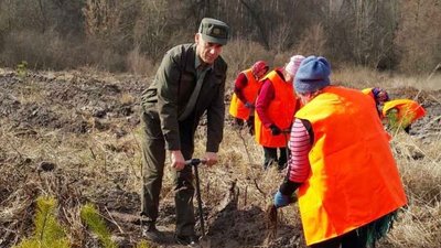 Пів сотні гектарів лісу та плантацію новорічних ялинок висадили на Черкащині Пів сотні гектарів лісу та плантацію новорічних ялинок висадили на Черкащині