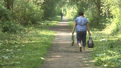 Такою дорогою жителька Олешина щодня йде до зупинки громадського транспорту в мікрорайоні Гречани. Такою дорогою жителька Олешина щодня йде до зупинки громадського транспорту в мікрорайоні Гречани.