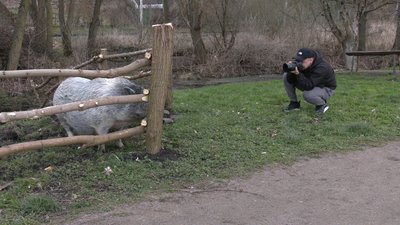 На Рівненщині волонтери хочуть зібрати гроші на дрони фотографуючи тварин На Рівненщині волонтери хочуть зібрати гроші на дрони фотографуючи тварин