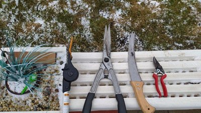 Садівник із Тернопільщини розповів, як робити весняну обрізку дерев