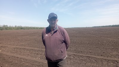 Виконали роботи на майже половині земель: як проходить посівна на Криворіжжі