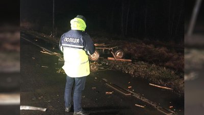 На трасі Київ-Чернігів зіткнулися мікроавтобус та підвода: загинули двоє людей