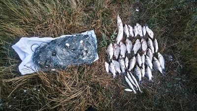 Херсонщина, рибоохоронний патруль, риба, браконьєри, нацпарк Нижньодніпровський