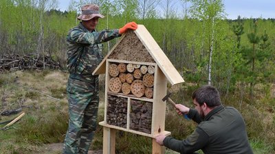 У лісах на Хмельниччині встановили будиночки для комах: для чого