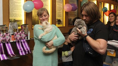 У Луцьку відбулася Національна виставка кішок. Кому дісталася перемога У Луцьку відбулася Національна виставка кішок. Кому дісталася перемога