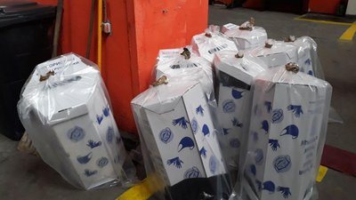 У Києві показали, як знищують використані маски та рукавички У Києві показали, як знищують використані маски та рукавички