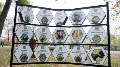 рекреаційні зони рекреаційні зони
