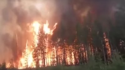 З початку року рятувальники Дніпропетровщини загасили майже дві тисячі пожеж в екосистемах
