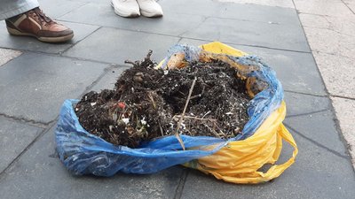 Біля Харківської обладміністрації одночасно влаштували три пікети Біля Харківської обладміністрації одночасно влаштували три пікети