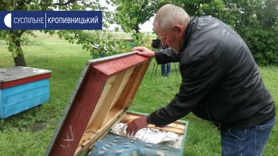 180 тисяч гривень компенсації за загибель бджіл вимагає пасічник з Кіровоградщини у фермера 180 тисяч гривень компенсації за загибель бджіл вимагає пасічник з Кіровоградщини у фермера