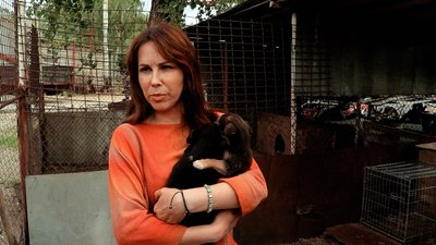 Чернігівка під час війни врятувала від смерті 27 собак та 15 котів Чернігівка під час війни врятувала від смерті 27 собак та 15 котів