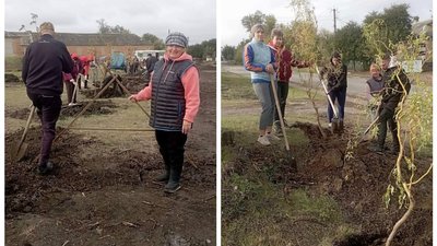 З алеєю на честь захисників. У селі Шевченкове на Кіровоградщині місцеві жителі висадили парк З алеєю на честь захисників. У селі Шевченкове на Кіровоградщині місцеві жителі висадили парк