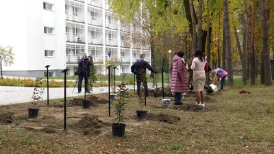 У Житомирі висадили 16 яблунь в пам'ять про українських жінок, які загинули на сході України У Житомирі висадили 16 яблунь в пам'ять про українських жінок, які загинули на сході України