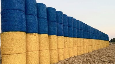 На Тернопільщині із тюків соломи виклали 52-метровий прапор України