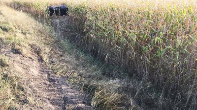 Випадково побачили в полі. На Сумщині знайшли мертвим водія легковика Випадково побачили в полі. На Сумщині знайшли мертвим водія легковика