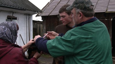 Вакцинація проти сказу на Рівненщині