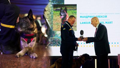 Рятувальник з Чернігівщини із собакою перемогли у номінації конкурсу Чотирилапі захисники